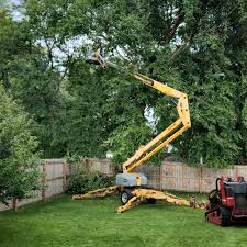 Best Tree Preservation Services  in Village Of The Branch, NY