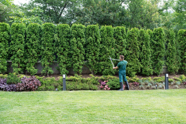 Best Hazardous Tree Removal  in Village Of The Branch, NY
